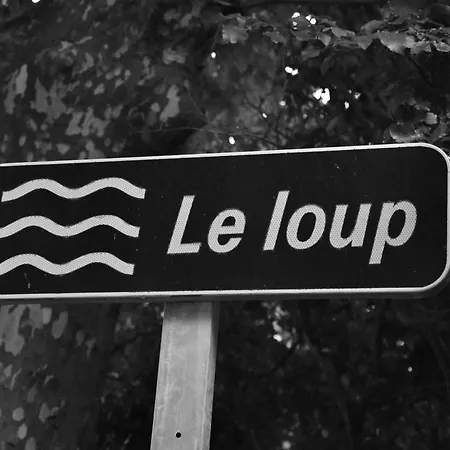 Apartment Les Iris *