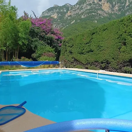 Les Iris Apartment